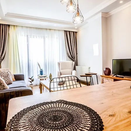 Apartamento And Spacious Flat In Atasehir